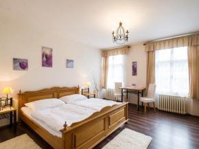 Отель Hotel Šumava  Высший Брод